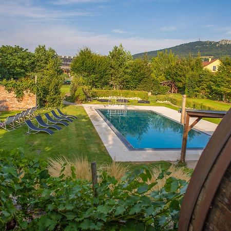 Amenity Penzion Horni Vestonice Dış mekan fotoğraf