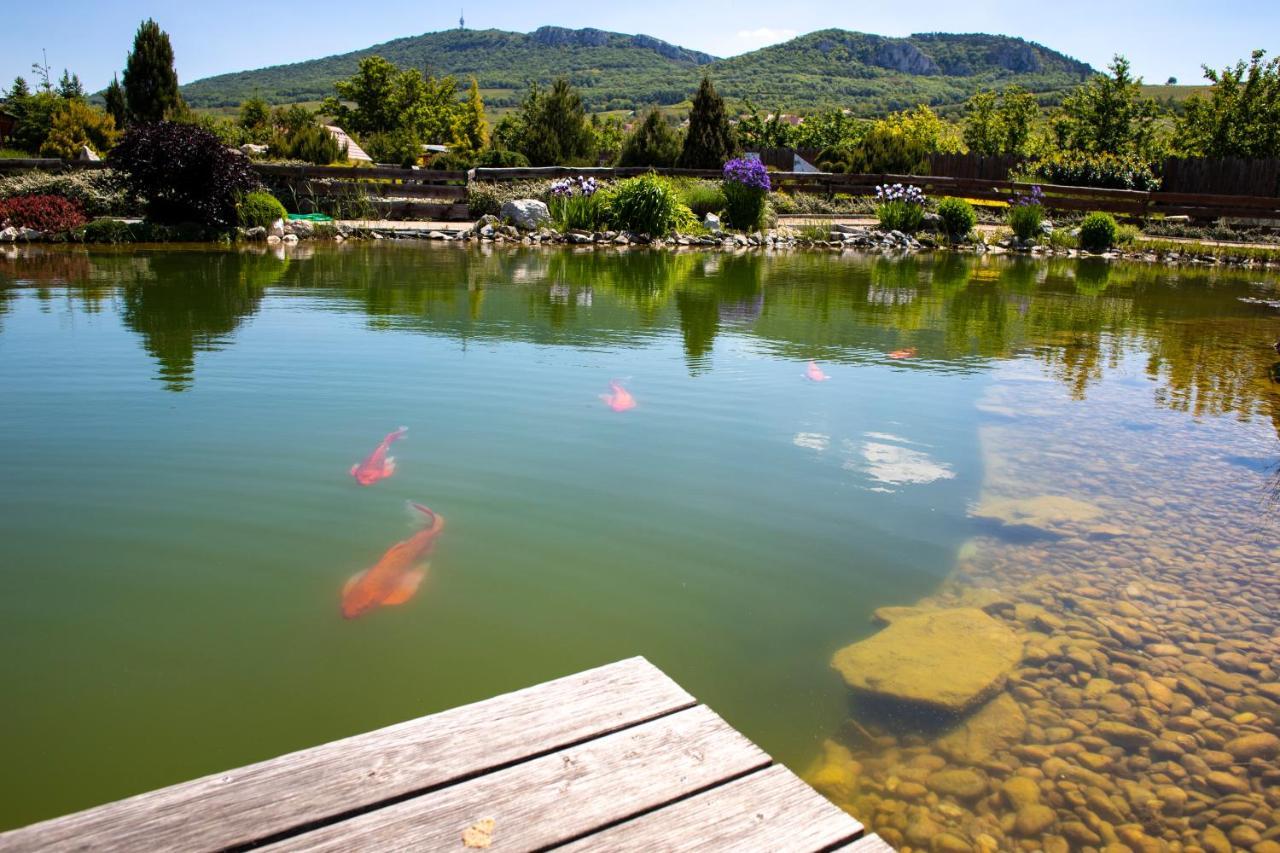 Amenity Penzion Horni Vestonice Dış mekan fotoğraf