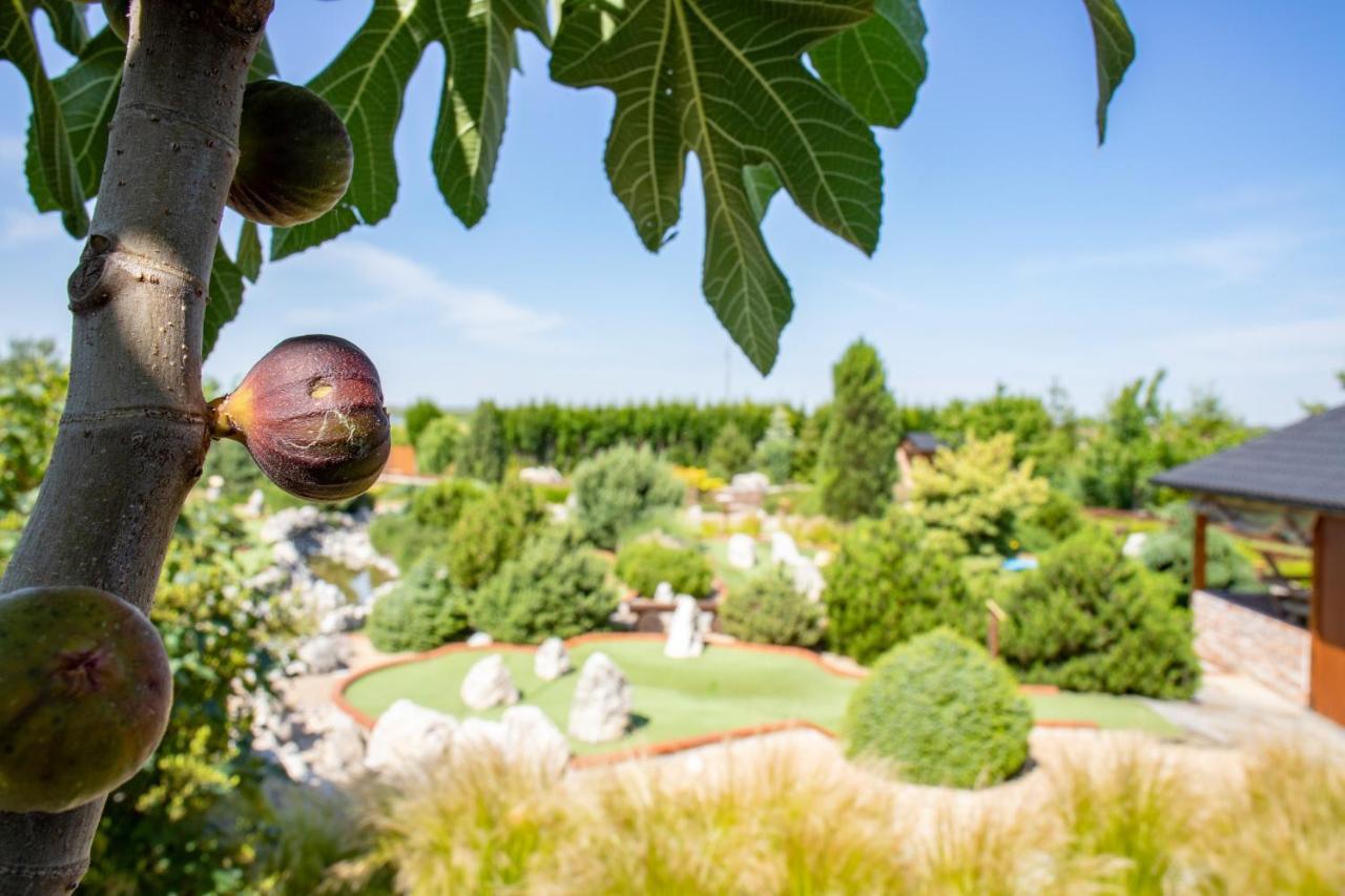 Amenity Penzion Horni Vestonice Dış mekan fotoğraf
