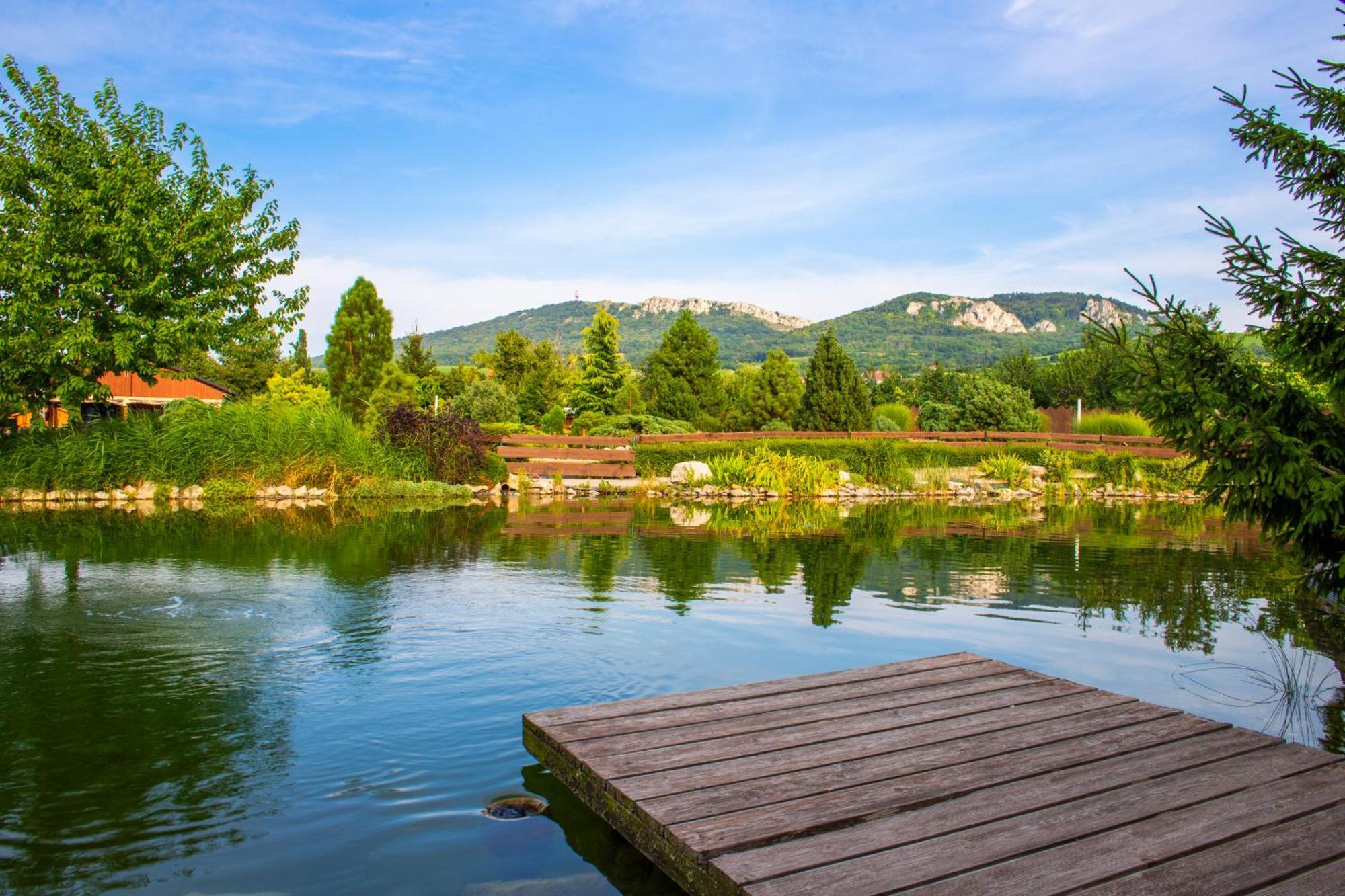 Amenity Penzion Horni Vestonice Dış mekan fotoğraf